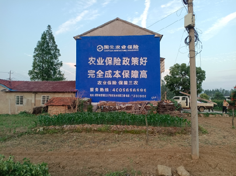 漳州墙体广告为何受追捧？