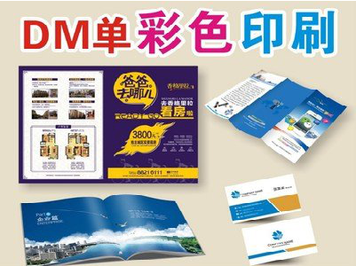 漳州单页印刷，色彩搭配简单。
